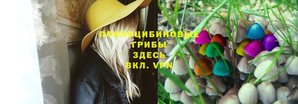 соль ск Мегион