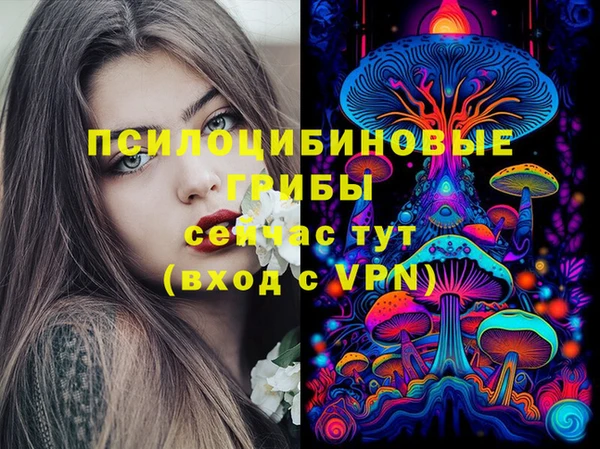 соль ск Мегион